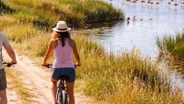 Balade vélo entre agriculture et biodiversité