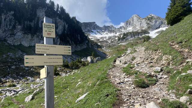 Aller-retour La Petite Sambuy via la piste forestière