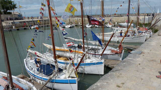 Le port de La Flotte et ses bateaux du patrimoine par l'association des Flottilles en Pertuis
