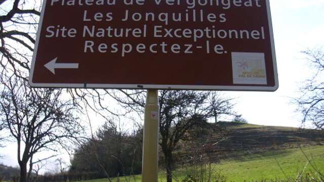 Plateau de Vergongeat