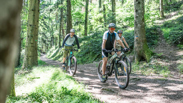 Accompagnateur Vélo