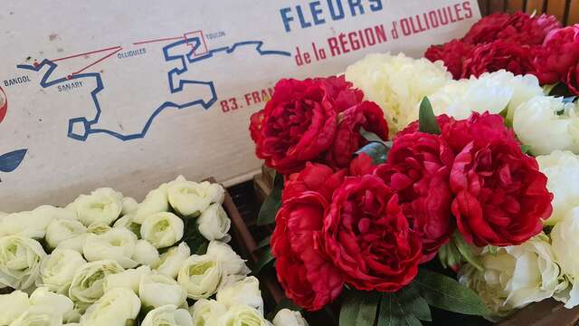 Visite commentée du Musée de la Fleur et de l'Olivier