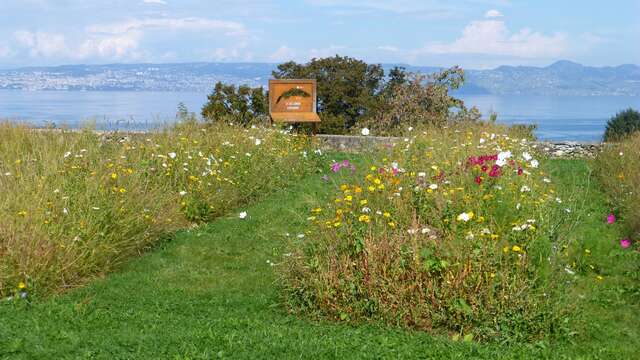 A la découverte du parc de Neuvecelle