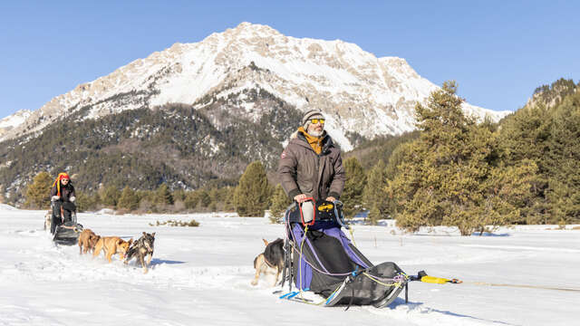 Conduite d'attelage 1 heure - Chiens de Traîneaux en Clarée