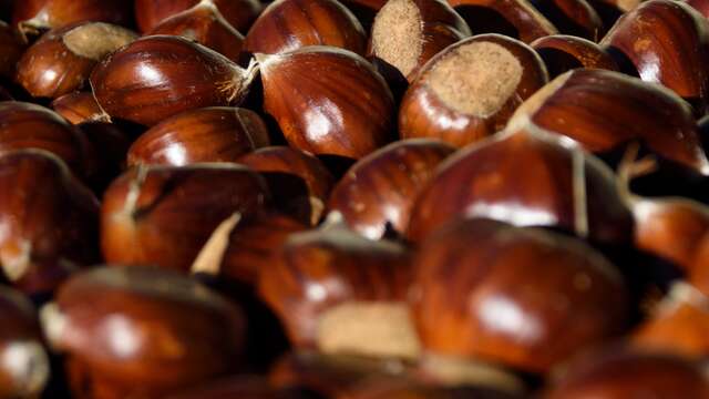 Atelier cuisine et chasse aux oeufs à la Maison de la Châtaigne