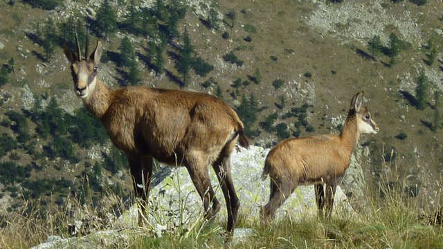 Randonnées montagne, Christiane Ray Anezin