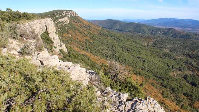 Guided nature observation hike to the summit of the Barres de Cuers
