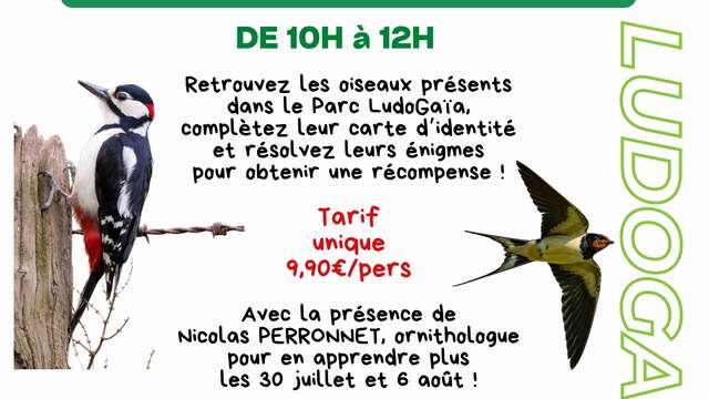 À la quête des oiseaux au Parc LudOGaïa