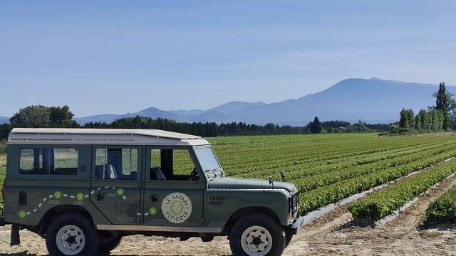 Safari viticole en Land Rover - Domaine Fontaine du Clos