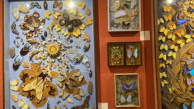 Mostra - Dany Lartigue: Saint-Tropez per sempre