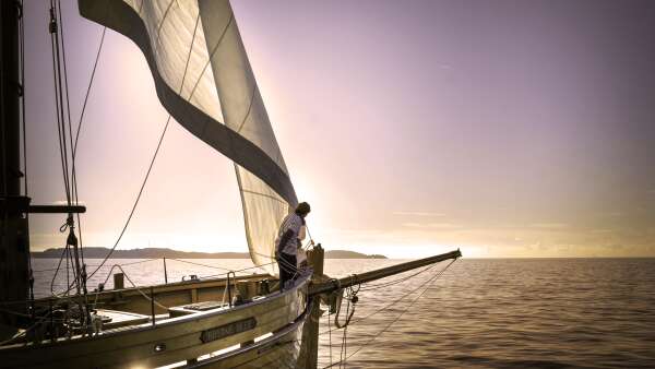Evening sailing cruise in the Frioul's Island - Quay of Honor Town Hall