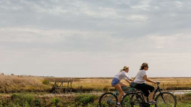 Le chemin des marais à vélo