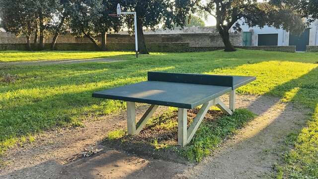 Table de ping pong