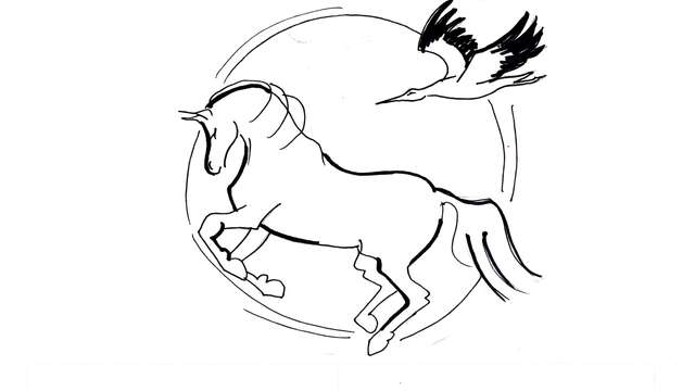 Activités équitation aux Haras d'Anibert