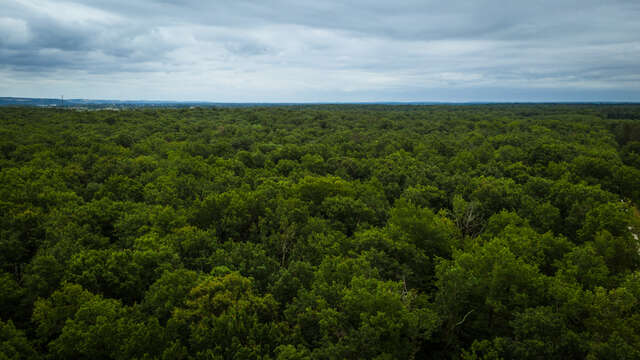 Bosque Estatal de Agre