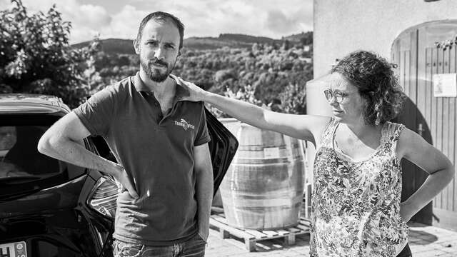 Domaine Reniteo - David Michelis