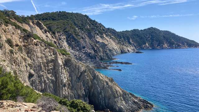 Port-Cros - Circuit des crêtes