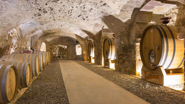 Unusual tasting in the heart of the barrel cellar at the monastic Château des Bormettes