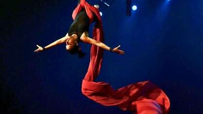 Stage de tissu aérien et corde lisse (adultes) - CIAM