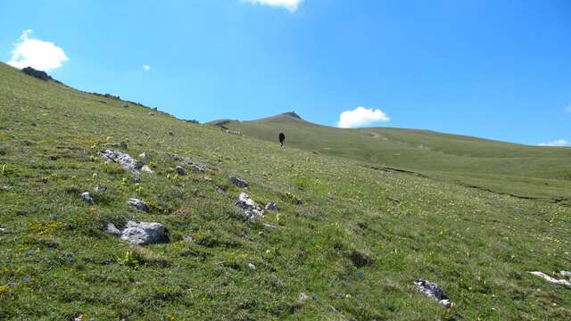 Sommet du Chiran par Blieux