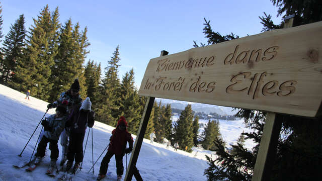 La forêt des elfes