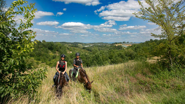 Balade et stage à cheval, baptême à poney