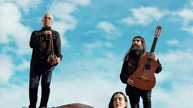 Trio Soltani in concert