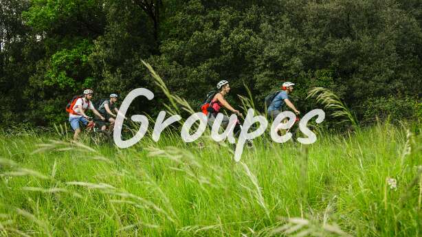 Reliefs et Nature - Location de vélos