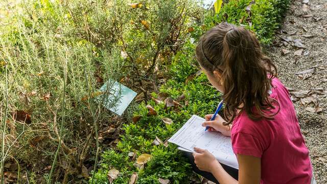 La visite ludique des 7-12 ans : La plante mystère
