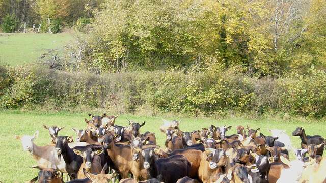 Les Chevriers d'Échazeaux