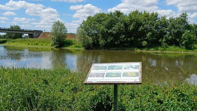 Briollay Educational Marsh
