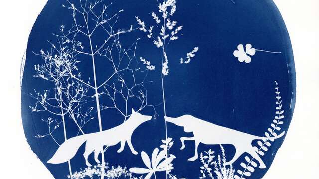 Atelier cyanotype