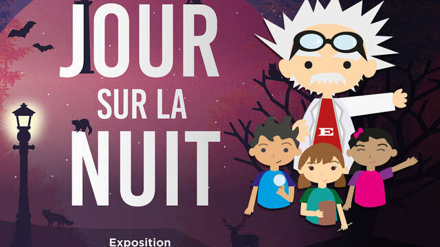 Atelier 8-12 ans : En quête de l’animal mystère !