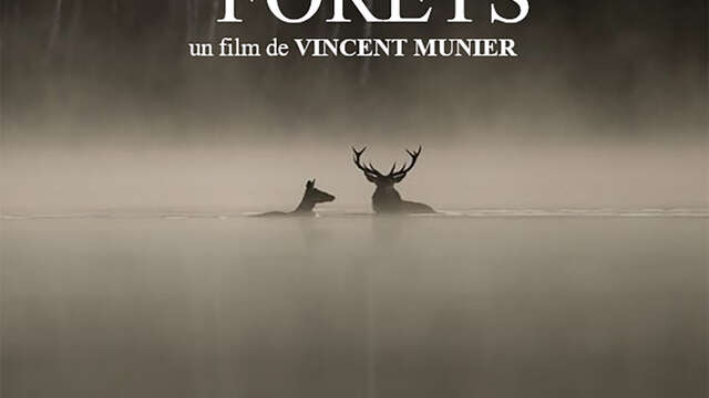 Le chant des forêts