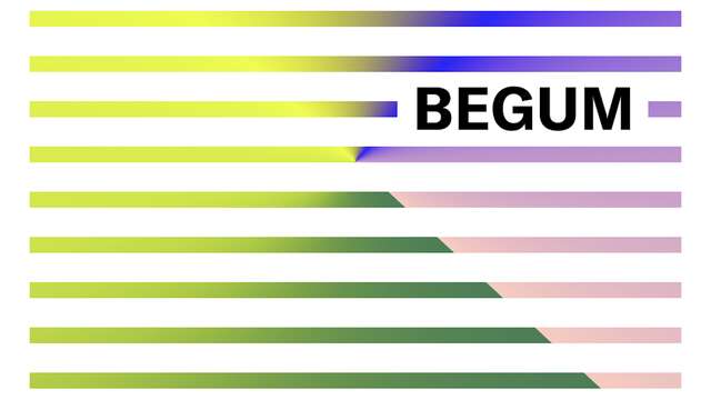 RANA BEGUM : Verbier 3-D Foundation Sculpture Park