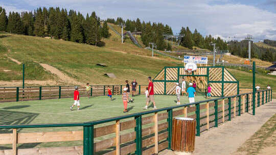 Tournoi sport collectif adulte