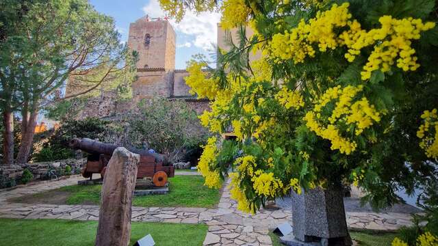 L'hiver au pays du mimosa