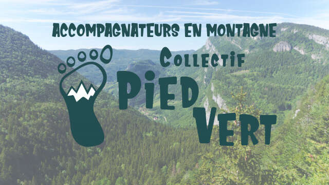 Sur les traces des animaux du Vercors