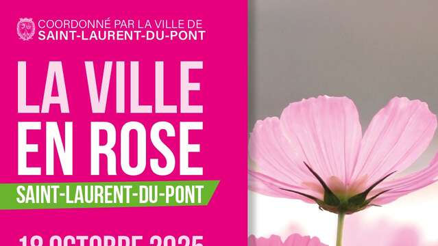 La ville en rose