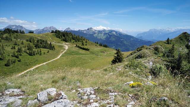 Circuit Trail 8 - Habère-Poche - Crêtes d'Hirmentaz - Miribel