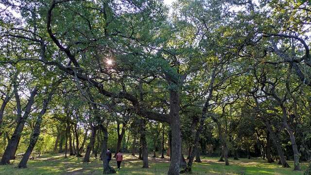 Éco-balade : Haies et bois à Entressen