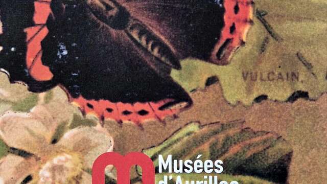 Activités au Musée d'Art : Personnages en boîte