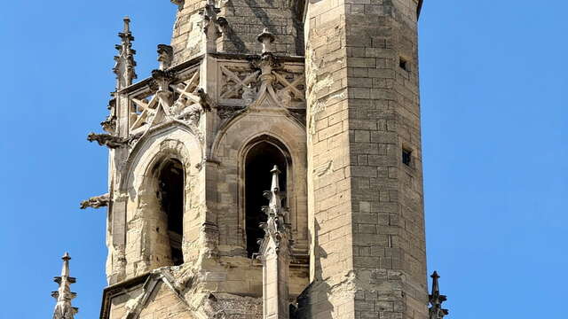From Bach to Spirituals: A Musical Journey for Endangered Heritage