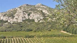 Circuit du Vallon des Glauges