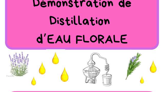 Distillation d'eau florale