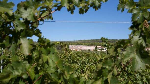 Domaine de Belambrée