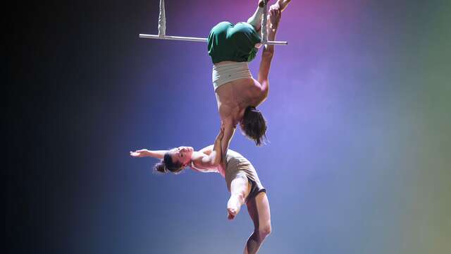 Cirque : Kintsugi machine de cirque