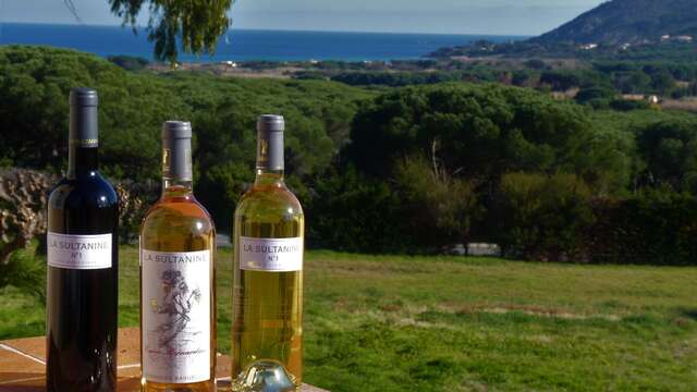 Domaine de la Sultanine