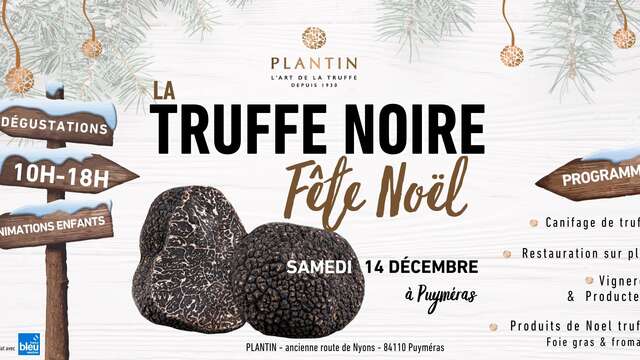 Plantin fête Noël autour de la truffe noire