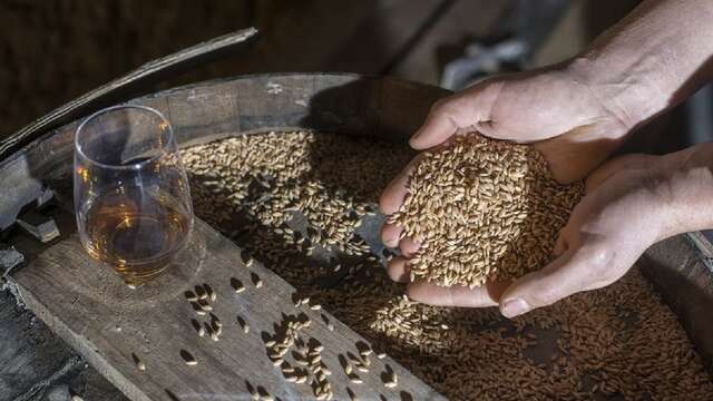 Atelier Tour de France des Whiskys au château du Barroux
